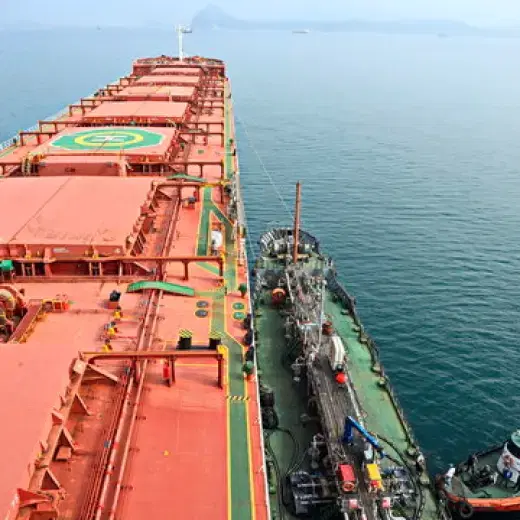 Deslopping And Debunkering